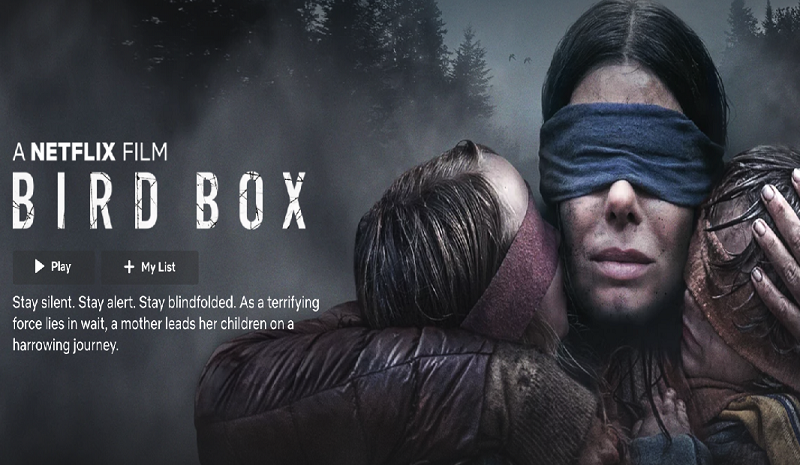 Netflix original, Bird Box will leave you in awe of the story.