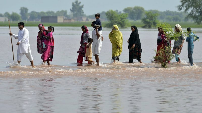 Celebs Join Flood Relief Efforts In Punjab