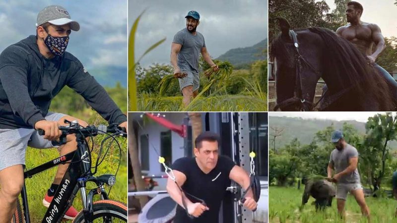 Salman Khan’s Huge Panvel Farmhouse Wows Fans